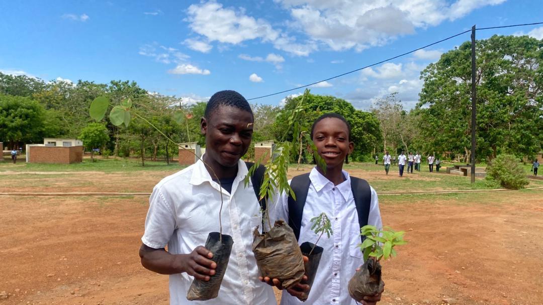 Mbidzi learners with their seedlings